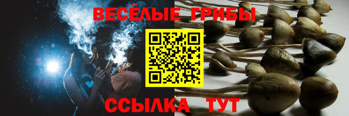Славянск-на-Кубани  Псилоцибиновые грибы мицелий  Псилоцибиновые грибы Psilocybine cubensis  Вход с VPN 